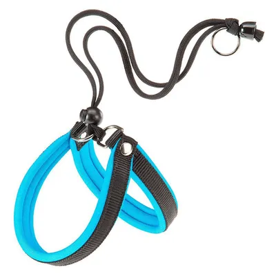 Ferplast Agila Fluo 1 prsnik za pse s mekanim punjenjem 32-38 cm 15 mm – plavi