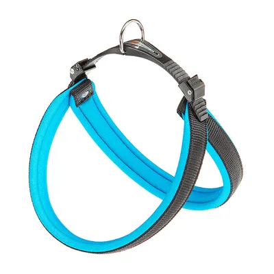 Ferplast Agila Fluo 3 prsnik za pse s mekanim punjenjem 42-50 cm 15 mm – plavi