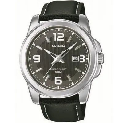 CASIO