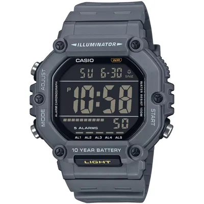 CASIO