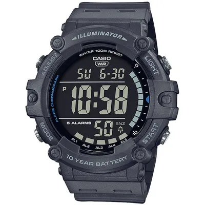 CASIO
