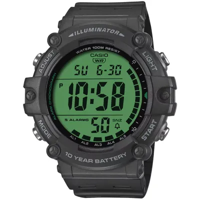 CASIO