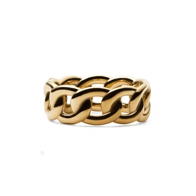 DANIEL WELLINGTON CHAIN PRSTEN