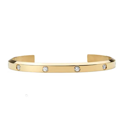 DANIEL WELLINGTON CLASSIC LUMINE NARUKVICA 165 MM