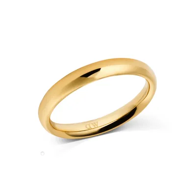 DANIEL WELLINGTON CLASSIC ARCH PRSTEN