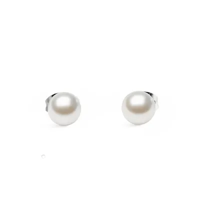 DANIEL WELLINGTON PEARL STUD NAUŠNICE