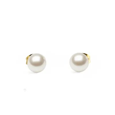 DANIEL WELLINGTON PEARL STUD NAUŠNICE