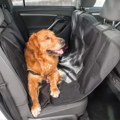 Auto zaštita za kućne ljubimce