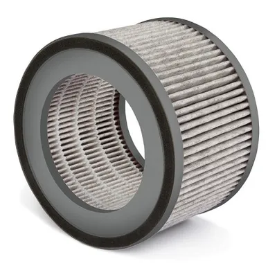 Soehnle filter za Airfresh clean 300