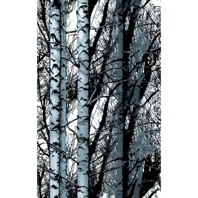d-c-fix® samoljepljiva folija Trendy Wood 45x150 cm