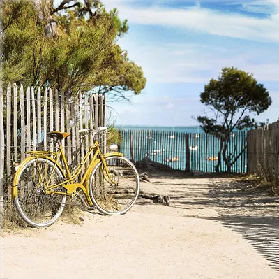 Slika staklena nature GL333 Yellow Bike 30x30 cm