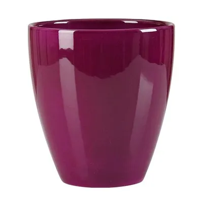 Scheurich 620 saksija za orhideju Pure Violet  Ø 15 cm