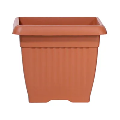 Saksija TERRA četvrtasta 19x19 x16