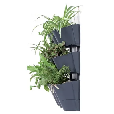 Vertikalni vrt Cascade wall anthracit