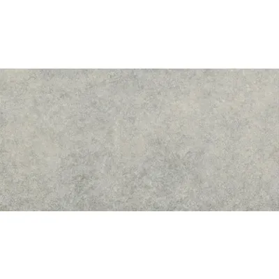 Gres pločica Absolute grigio 31x62x0,7 R10
