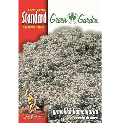 Sjemenska kesica cvijeća grmolika kamenjarka tappeto di neve