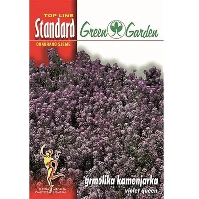 Sjemenska kesica cvijeća grmolika kamenjarka violet queen