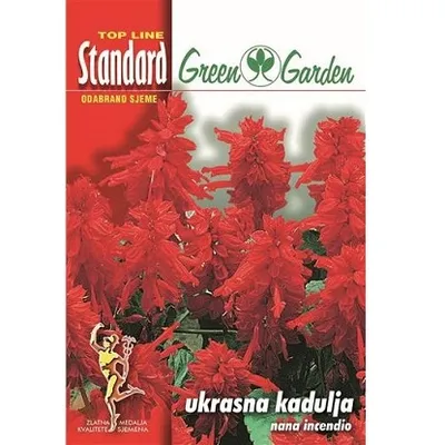 Sjemenska kesica cvijeća ukrasna kadulja nana incendio