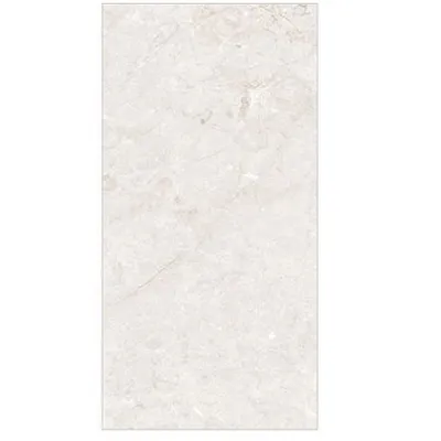 Keramička pločica 6523 mat 120 x 60 cm