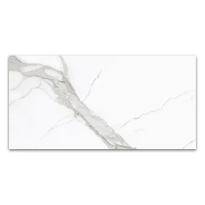 Keramička pločica SGMARMI STATURIO full 120 x 60 cm
