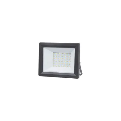 E-light LED reflektor E-light 30W 6400K crni