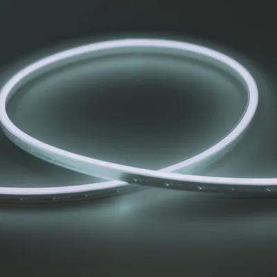 E-light Neon Flex E-light 2835 7W IP67 6500K