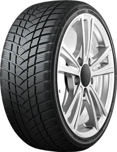 GT Radial Zimska guma 205/40R17 84V XL WinterPro2 Sport M+S