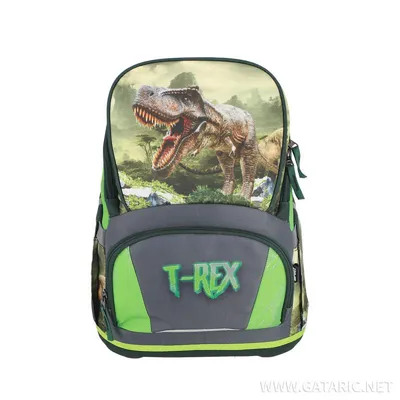 Air Light Torba anatomska za dječake T-Rex 409881, 40 cm, Zelena