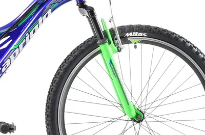 Capriolo Bicikl za dječake 26"/18" CTX 260, Tamnoplavo-Svijetlozeleni
