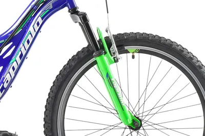 Capriolo Bicikl za dječake 24" CTX 240, Tamnoplavo-Svijetlozeleni