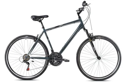Capriolo Muški bicikl 28"/22" Sunrase Man Treking, Crni
