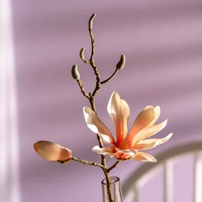Leonardo Germany Vještački cvijet Magnolija Luminosa Apricot, 42 cm