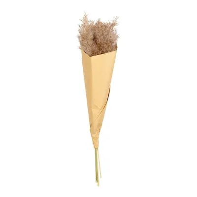 ASA Selection Germany Vještačko cvijeće Pampas, 6 komada, smeđe boje