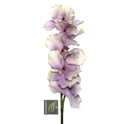 Couronne Umjetno cvijeće Orhideja 7140503, 70 cm