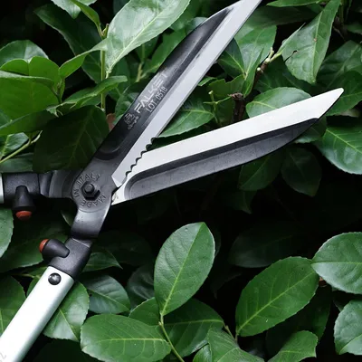 Falket Makaze za voće grane 6022, 60 cm