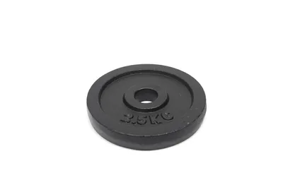 GymFit Teg metalniI 2.5kg R30mm