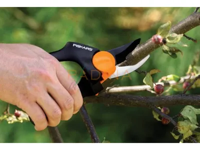 Makaze za grane anvil p-s Fiskars
