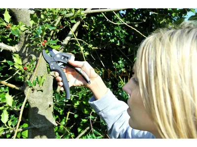 Makaze voćarske anvil p-g m Fiskars