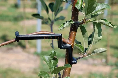 Lančani remen 330 mm