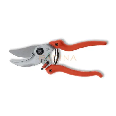 Makaze nakovanj profi 21 cm