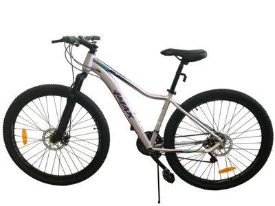4MAX Muški bicikl JK2259001, 29", Siva