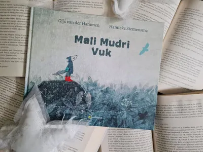 Mali mudri vuk