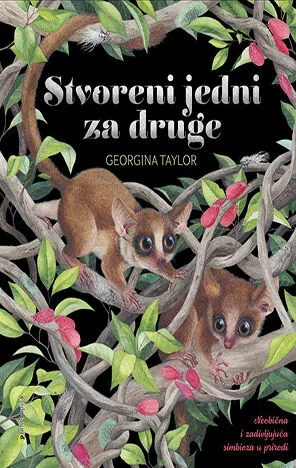 Stvoreni jedni za druge