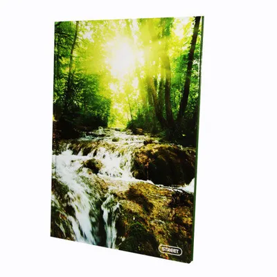 Ekonomik Papir Sveska, Tvrda korica, A4, 96 lista, Karo linije, Šarena