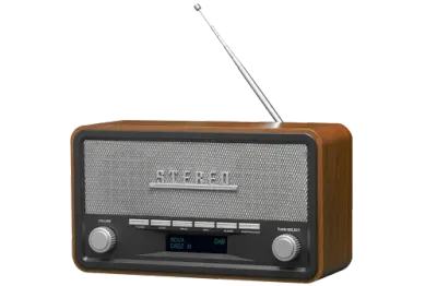 Denver Radio DAB-18, Smeđi