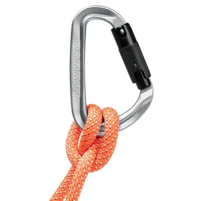 Mammut Karabiner Classic HMS Twistlock Plus, Sivi