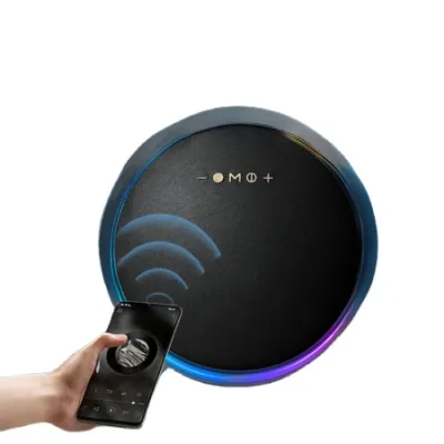 Borg Bluetooth zvučnik LP19 RGB, Crni