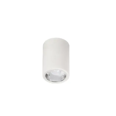 Rabalux Nadgradna rozetna Donald 2484, 60W