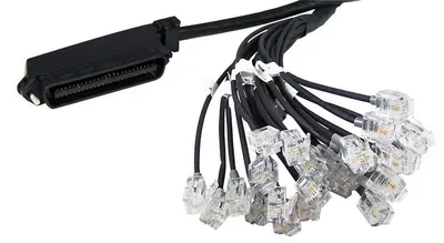 Yeastar Telefonski kabal RJ21, 3m