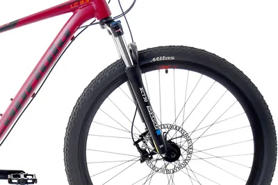 Capriolo Muški bicikl 29"/21" LC 9.3 HDZ 24, Bordo